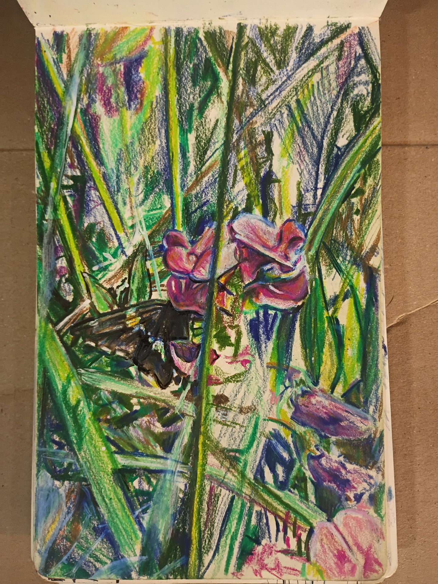 Butterfly & Orchid