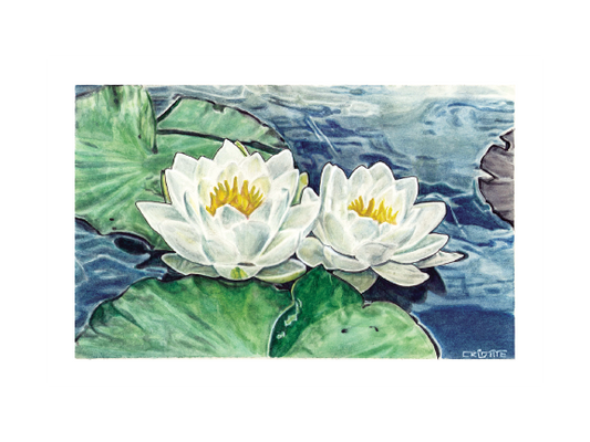 Water Lily (Print)