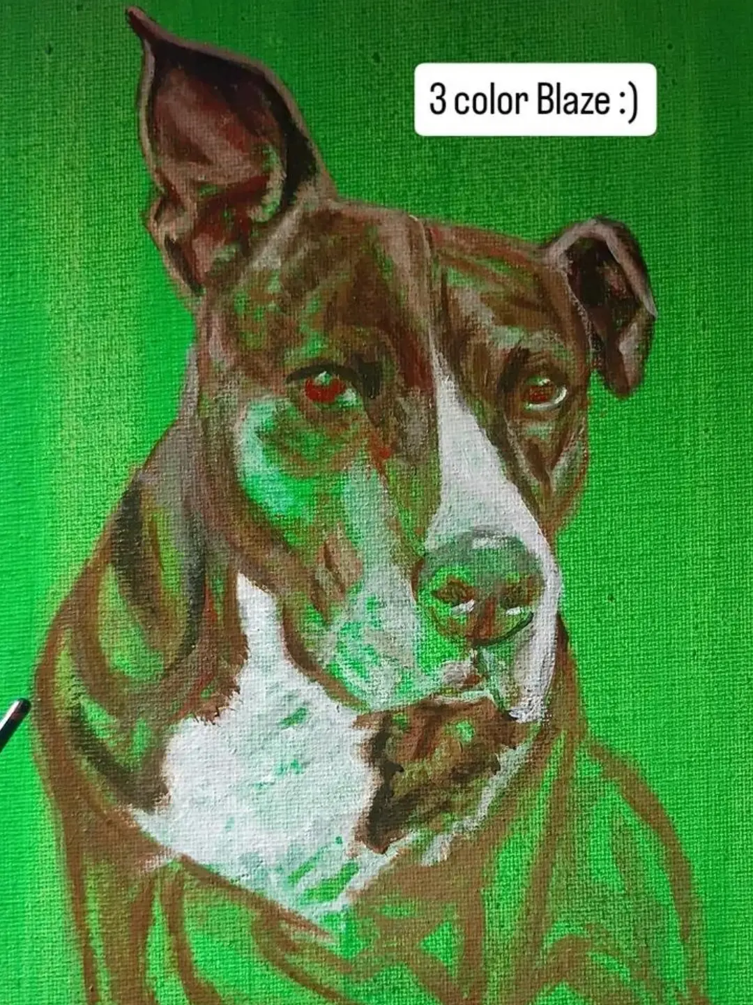 Pawtrait Commissions -  - 8x10