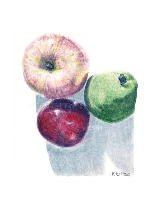 Apple, Pear, & Plum Watercolor Study (Prints)