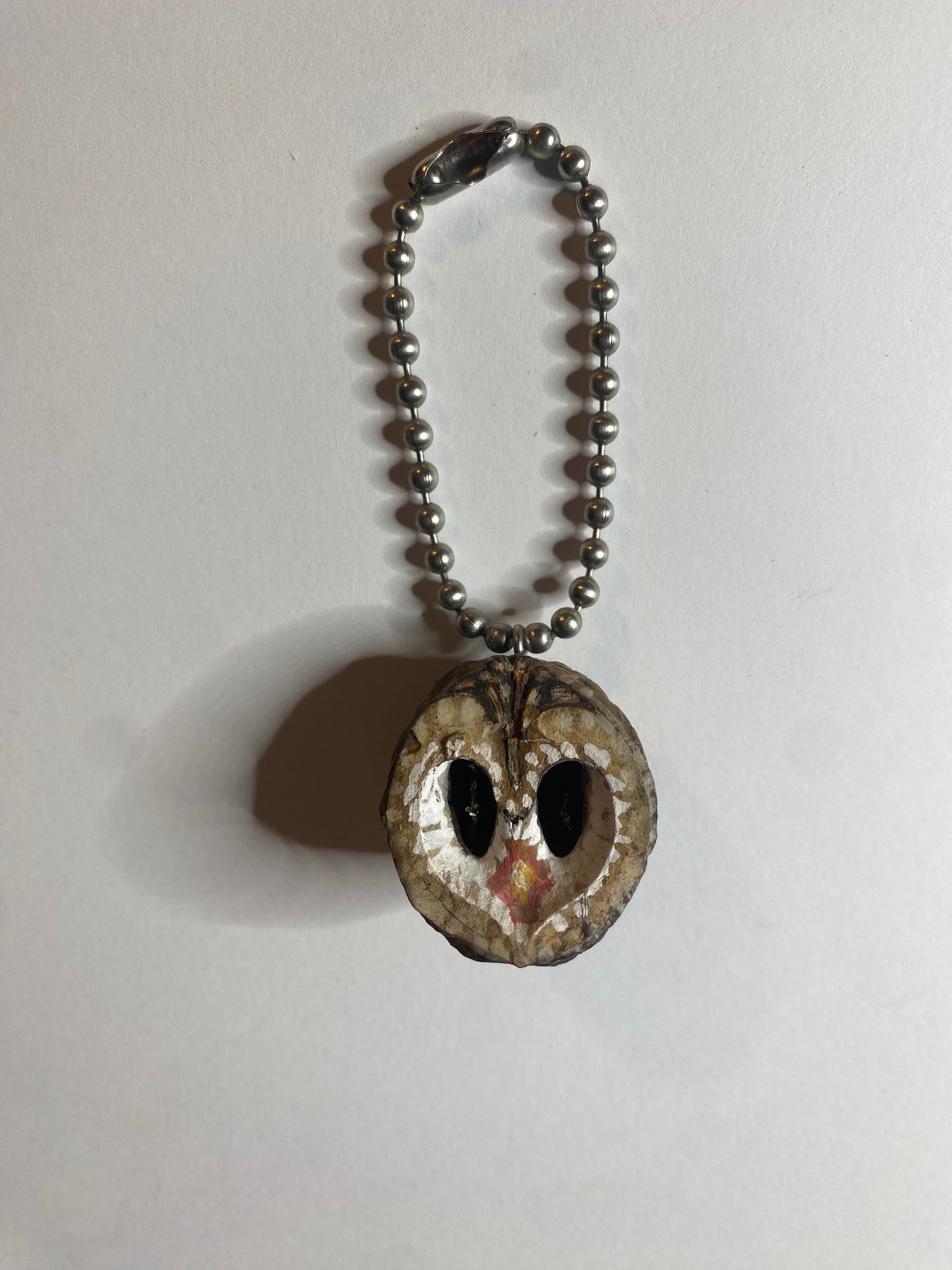 Owl Illustrated Black Walnut Seed