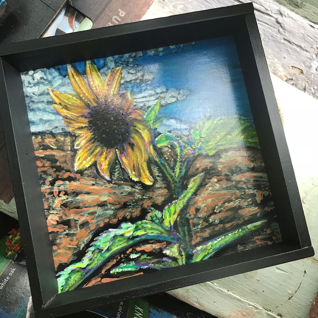 Wild Sunflower